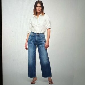 Madewell Perfect Vintage Wide-Leg Jean in 29P, Very Good Used Condition